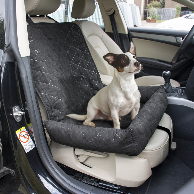 Protection siège voiture chien - Équipement auto