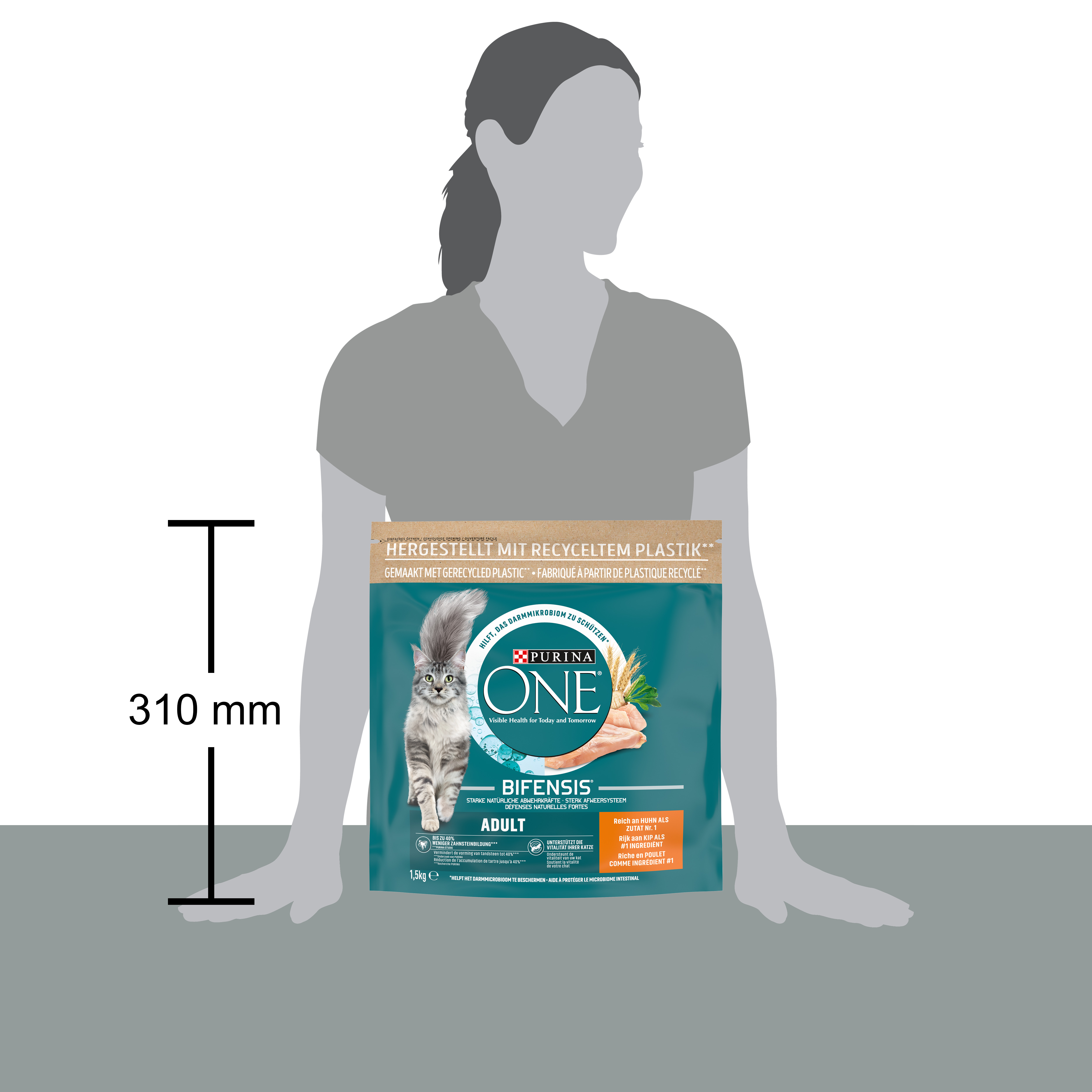 Purina ONE Bifensis Nourriture pour chats Adulte Croquettes au poulet 1,5kg