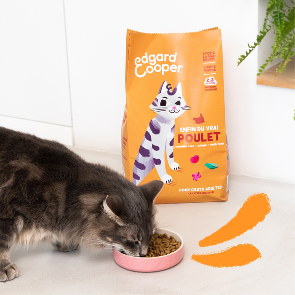 EDGARD&COOPER CHAT E AD CHATON POULET 2KG