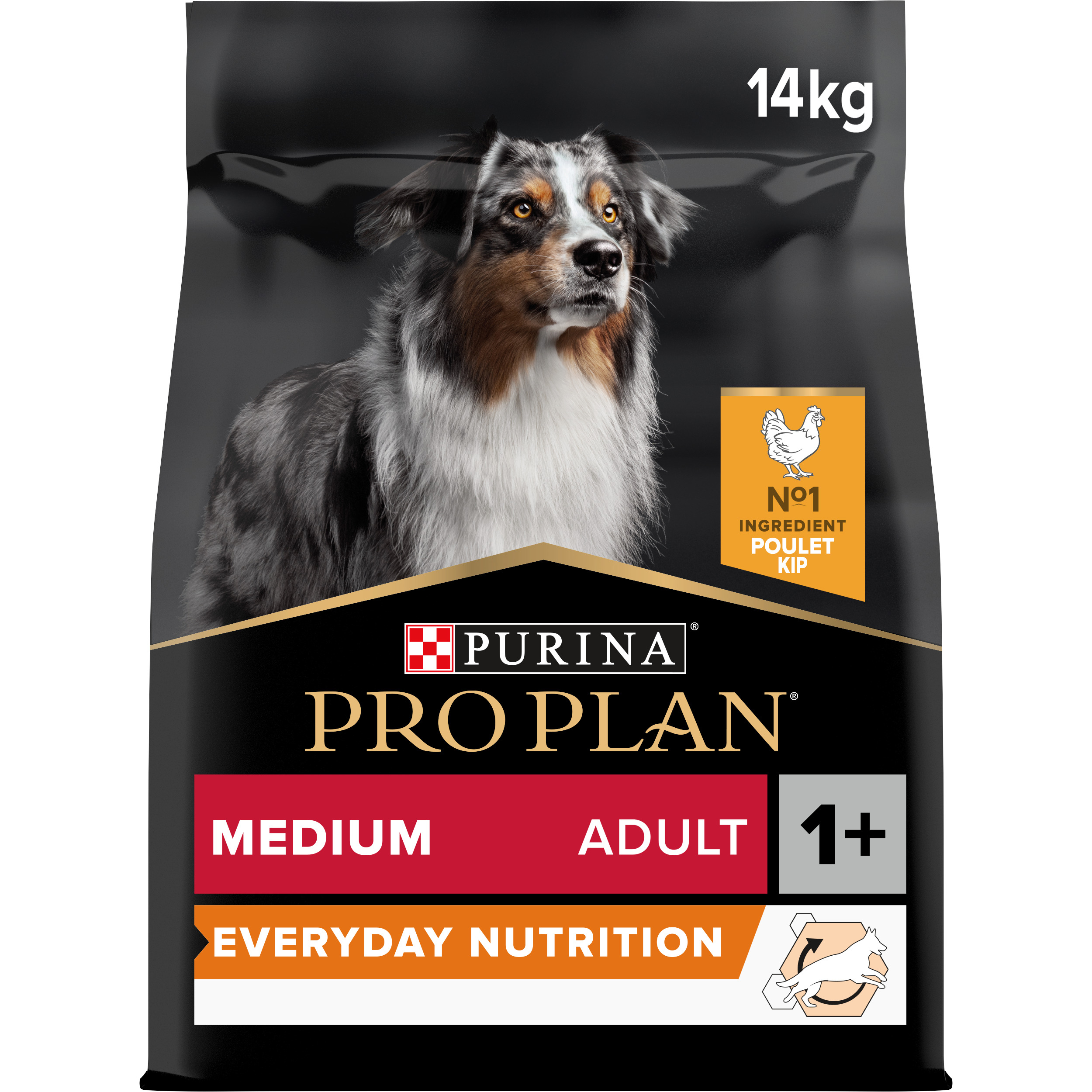 Pro Plan Croquettes | Everyday Nutrition | Chien (Adulte / Moyen) | Poulet | 14kg