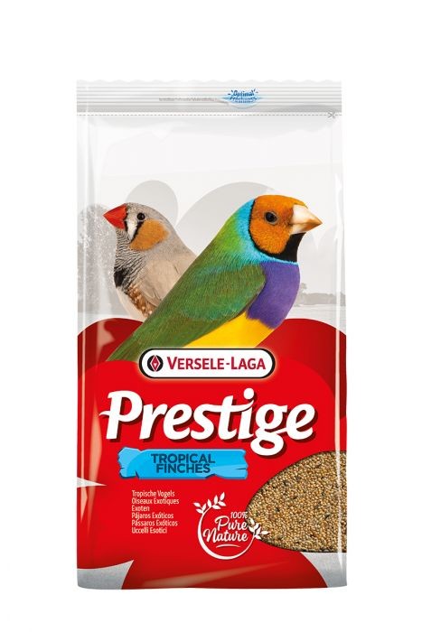 4Kg Tropische Vogels