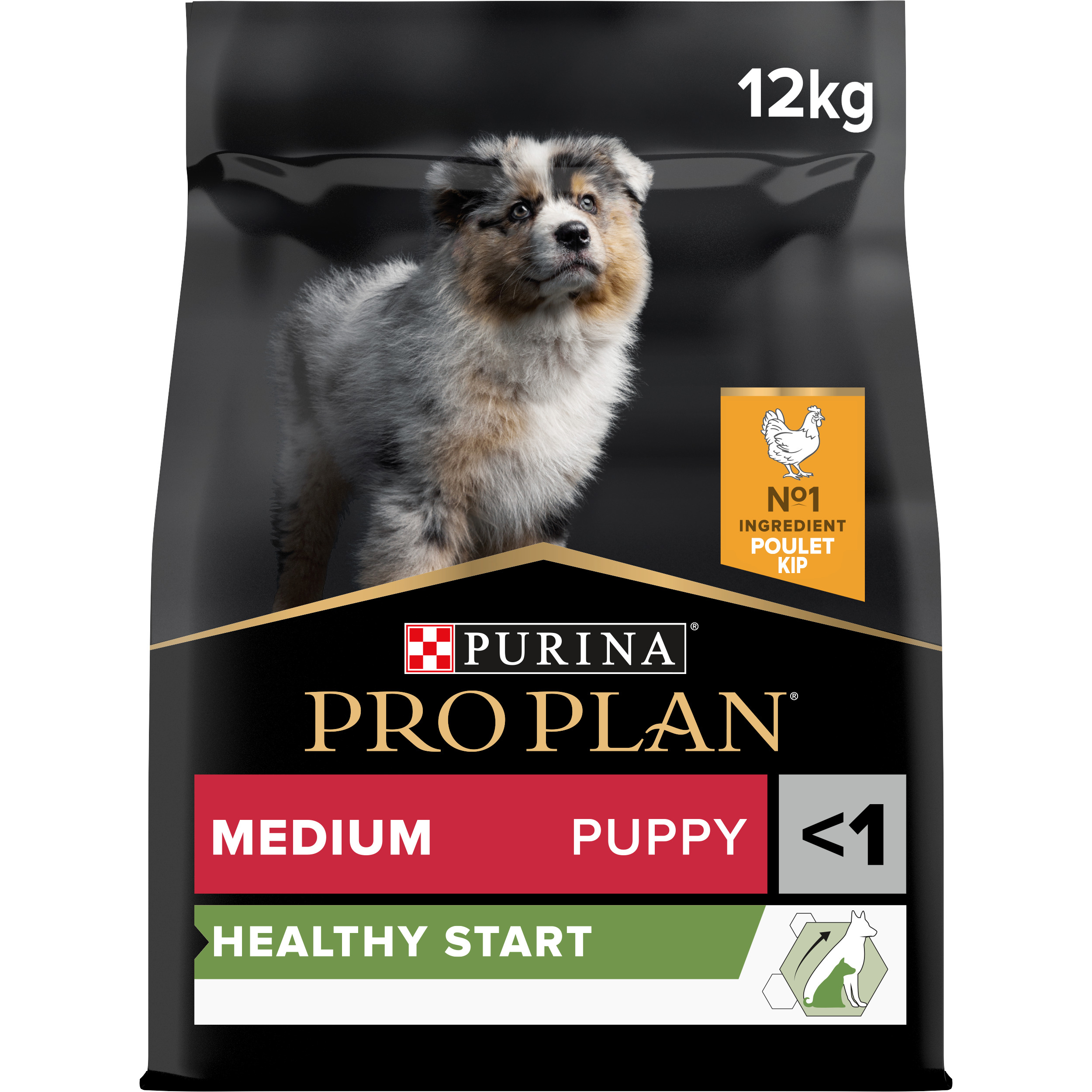 Pro Plan Croquettes | Healty Start | Chien (Junior / Moyen) | Poulet | 12kg