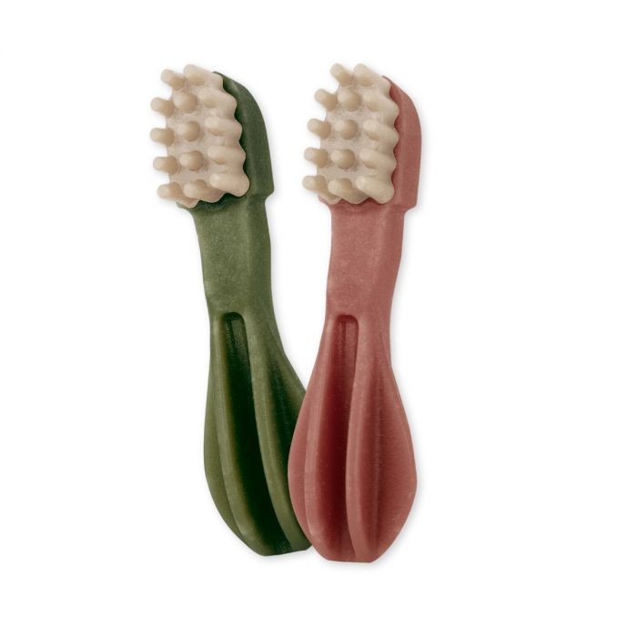 Whimzees Brosse A Dents Star Bulk S/8.6Cm