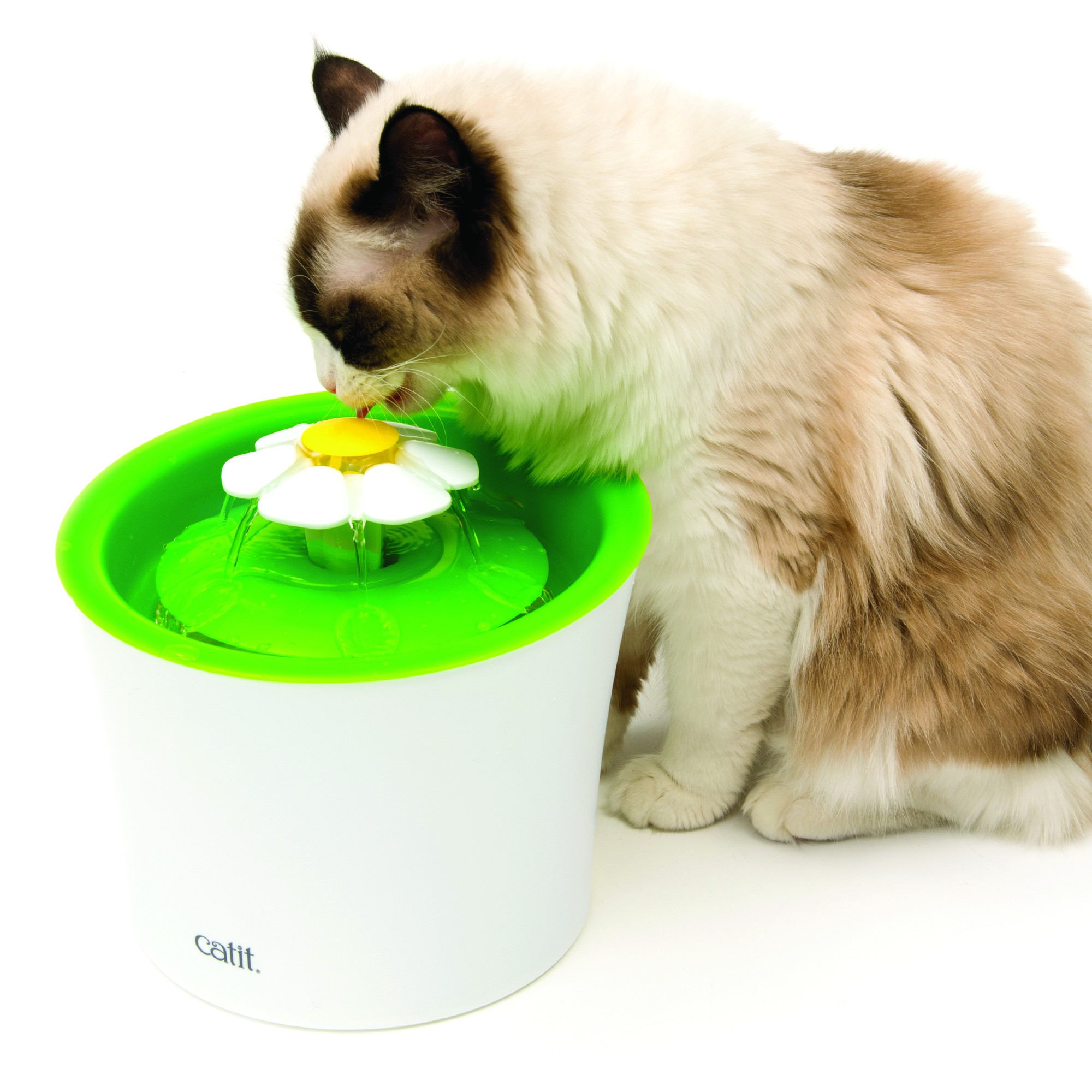 Cat Itca 2.0 Abreuvoir Avec Fleur 3L