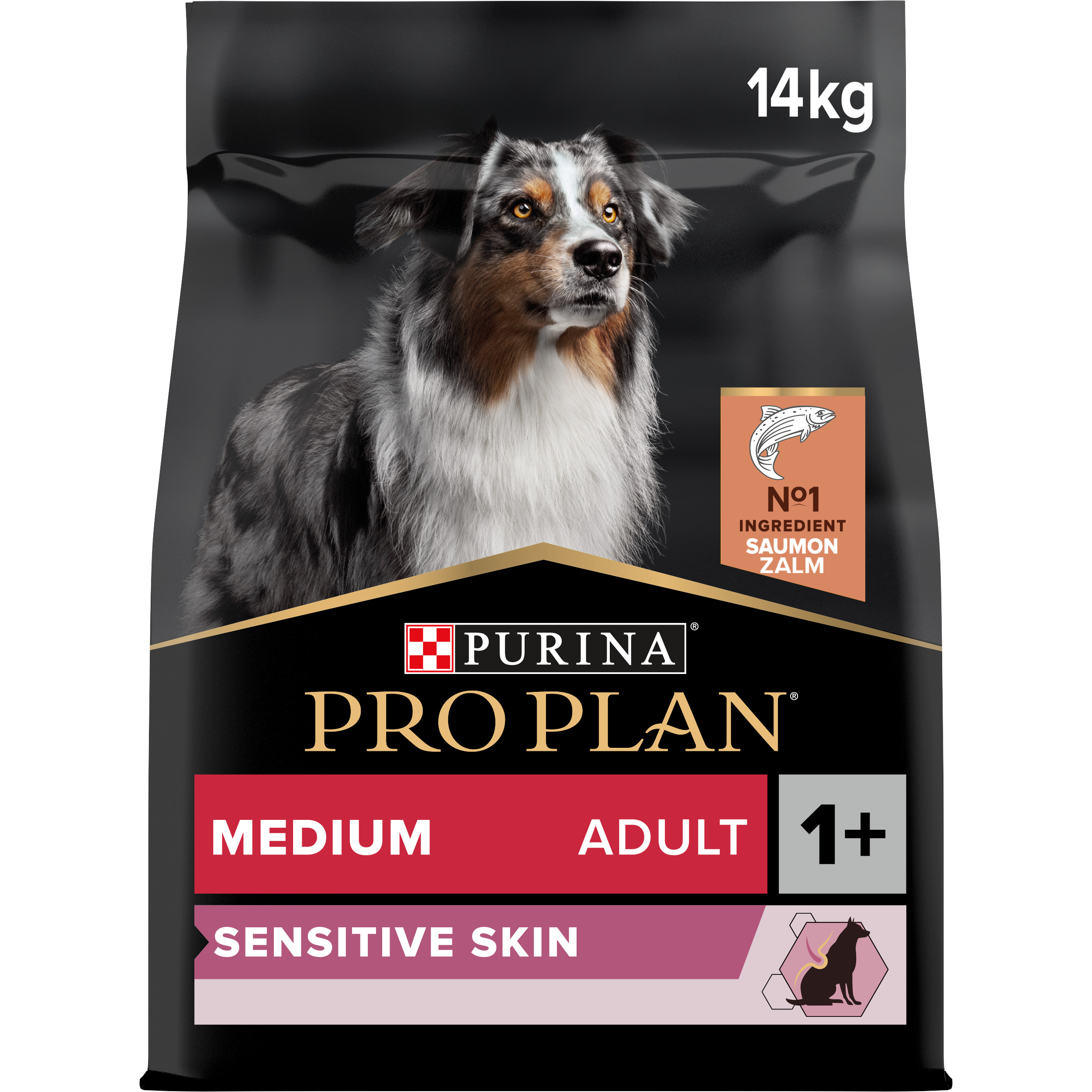 Pro Plan Croquettes | Sensitive Skin | Chien (Adulte / Moyen) | Saumon | 14kg