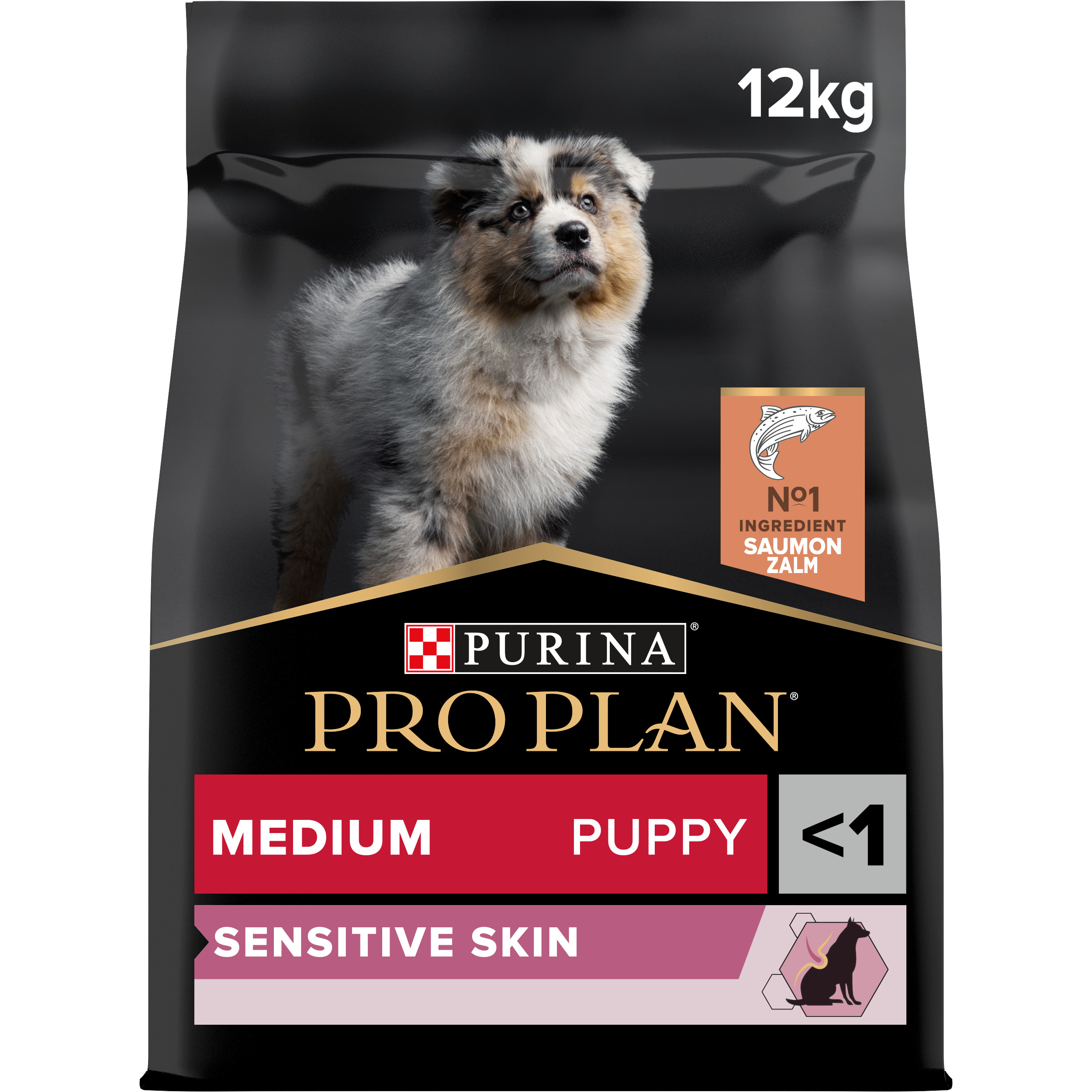 Pro Plan Croquettes | Sensitive Skin | Chien (Junior / Moyen) | Saumon | 12kg 